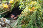 Survival Training